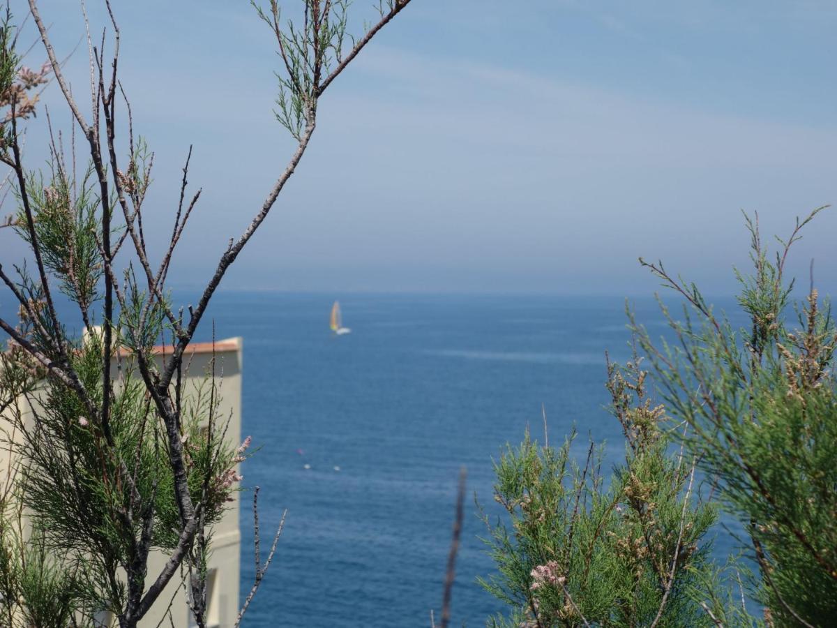 Apartment Les Roches Bleues-5 By Interhome Collioure Esterno foto